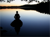 Stacks Image 329